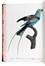 Levaillant François : Histoire naturelle des oiseaux de paradis et des rolliers, suivie de celle des Toucans et des Barbus. Tome premier (-second).  - Asta Libri a stampa dal XV al XIX secolo [Parte II] - Libreria Antiquaria Gonnelli - Casa d'Aste - Gonnelli Casa d'Aste