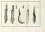  Vitet Louis : Trait� de la sangsue m�dicinale. Medicina  Antoine Francois Fourcroy  - Auction Books from XV to XIX Century [II Part] - Libreria Antiquaria Gonnelli - Casa d'Aste - Gonnelli Casa d'Aste