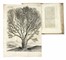  La Roque Jean (de) : Voyage de Syrie et du Mont-Liban contenant la description de tout le pays compris sous le nom de Liban & d'anti-Liban... Tome I (-II).  - Asta Libri a stampa dal XV al XIX secolo [Parte II] - Libreria Antiquaria Gonnelli - Casa d'Aste - Gonnelli Casa d'Aste