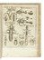  Redi Francesco : Opere [...] con somma diligenza insieme raccolte, accresciute, e migliorate. Tomo primo (-settimo) Letteratura italiana, Letteratura  - Auction Books from XV to XIX Century [II Part] - Libreria Antiquaria Gonnelli - Casa d'Aste - Gonnelli Casa d'Aste