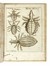  Redi Francesco : Opere [...] con somma diligenza insieme raccolte, accresciute, e migliorate. Tomo primo (-settimo) Letteratura italiana, Letteratura  - Auction Books from XV to XIX Century [II Part] - Libreria Antiquaria Gonnelli - Casa d'Aste - Gonnelli Casa d'Aste
