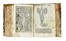  Arnaldo de Vilanova : Herbolario volgare, nel quale se dimostra a conoscer le herbe...  Pedanius Dioscorides  - Asta Libri a stampa dal XV al XIX secolo [Parte II] - Libreria Antiquaria Gonnelli - Casa d'Aste - Gonnelli Casa d'Aste