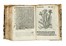  Arnaldo de Vilanova : Herbolario volgare, nel quale se dimostra a conoscer le herbe...  Pedanius Dioscorides  - Asta Libri a stampa dal XV al XIX secolo [Parte II] - Libreria Antiquaria Gonnelli - Casa d'Aste - Gonnelli Casa d'Aste