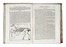  Ferraro Pirro Antonio : Cavallo frenato. Equitazione, Figurato, Scienze tecniche e matematiche, Zoologia, Feste - Folklore - Giochi - Sport, Collezionismo e Bibliografia, Scienze naturali  - Auction Books from XV to XIX Century [II Part] - Libreria Antiquaria Gonnelli - Casa d'Aste - Gonnelli Casa d'Aste