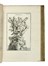  Tournefort (de) Pitton Joseph : Institutiones rei herbariae. Editio tertia. Appendicibus aucta ab Antonio De Jussieu [...] Tomus primo [-tertio]. Botanica, Scienze naturali, Scienze naturali  - Auction Books from XV to XIX Century [II Part] - Libreria Antiquaria Gonnelli - Casa d'Aste - Gonnelli Casa d'Aste
