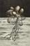  Lionni Leo : La botanica parallela. Illustrazioni dell'Autore.  - Asta Libri, autografi e manoscritti - Libreria Antiquaria Gonnelli - Casa d'Aste - Gonnelli Casa d'Aste