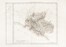  Pierre Antoine-Franois Tardieu (Tardieu de l'Estrapade)  (Parigi, 1757 - 1822) : Dpartement de Gnes Divis en 5 Arrondissemens et en 41 cantons (N 106 et N107).  - Asta Arte Antica, Moderna e Contemporanea [Parte I] - Libreria Antiquaria Gonnelli - Casa d'Aste - Gonnelli Casa d'Aste