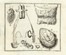  Heister Lorenz : Compendium anatomicum totam rem anatomicam brevissime complectens.  [..]