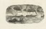  Guerin-Méneville Félix-Edouard : Dictionnaire pittoresque d'histoire naturelle et des phénomènes de la nature, contenant l'histoire des animaux, des végétaux [...]. Tome premier (-neuvième).  Charles Beyer  - Asta Libri, autografi e manoscritti - Libreria Antiquaria Gonnelli - Casa d'Aste - Gonnelli Casa d'Aste