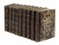  Guerin-Méneville Félix-Edouard : Dictionnaire pittoresque d'histoire naturelle et des phénomènes de la nature, contenant l'histoire des animaux, des végétaux [...]. Tome premier (-neuvième).  Charles Beyer  - Asta Libri, autografi e manoscritti - Libreria Antiquaria Gonnelli - Casa d'Aste - Gonnelli Casa d'Aste