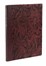  Busset Maurice : En avion. Vols et combats. Estampes et rcits de la Grande Guerre, 1914-1918. Figurato, Aeronautica, Collezionismo e Bibliografia, Scienze tecniche e matematiche  - Auction Books, autographs and manuscripts - Libreria Antiquaria Gonnelli - Casa d'Aste - Gonnelli Casa d'Aste