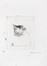  Gustavo Prola : Lotto composto di 10 incisioni ed 1 disegno.  - Auction Modern and Contemporary Art [II Part ] - Libreria Antiquaria Gonnelli - Casa d'Aste - Gonnelli Casa d'Aste