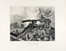  Francesco Chiappelli  (Pistoia, 1890 - Firenze, 1947) : Lotto composto di 2 incisioni dalla serie delle Medaglie d'oro al valor militare.  - Asta Arte Moderna e Contemporanea [Parte II] - Libreria Antiquaria Gonnelli - Casa d'Aste - Gonnelli Casa d'Aste