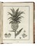  Rozier Jean Baptiste François : Cours complet d'agriculture, théorique, pratique, économique, et de médecine rurale et vétérinaire [...]. Tome premier (-Cinquième).  - Asta Libri, autografi e manoscritti - Libreria Antiquaria Gonnelli - Casa d'Aste - Gonnelli Casa d'Aste
