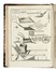  Rozier Jean Baptiste François : Cours complet d'agriculture, théorique, pratique, économique, et de médecine rurale et vétérinaire [...]. Tome premier (-Cinquième).  - Asta Libri, autografi e manoscritti - Libreria Antiquaria Gonnelli - Casa d'Aste - Gonnelli Casa d'Aste