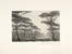  Carlo Alberto Petrucci  (Roma, 1881 - 1963) : Lotto composto di 18 incisioni ed 1 disegno.  - Auction Ancient, Oriental, Modern and Contemporary Art  [II part] - Libreria Antiquaria Gonnelli - Casa d'Aste - Gonnelli Casa d'Aste