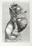  Caldani Leopoldo Marco Antonio : Icones anatomicae quotquot sunt celebriores ex optimis neotericorum operibus summa diligentia depromptae et collectae... (-Volumins tertii sectio altera).  Floriano Caldani  (Bologna, 1772 - Padova, 1836)  - Asta Libri, autografi e manoscritti - Libreria Antiquaria Gonnelli - Casa d'Aste - Gonnelli Casa d'Aste