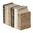  Segni Alessandro [e altri] : Importante lotto di 10 opere di genealogia di alcune famiglie celebri toscane.  Modesto Rastrelli, Placido Puccinelli, Giuseppe Maria Mecatti, Angelo Maria Bandini  - Asta Libri, autografi e manoscritti - Libreria Antiquaria Gonnelli - Casa d'Aste - Gonnelli Casa d'Aste