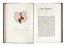  Passerini Luigi : Sommario storico delle famiglie celebri toscane... Araldica, Storia, Diritto e Politica  Francesco Galvani  - Auction Books, autographs and manuscripts - Libreria Antiquaria Gonnelli - Casa d'Aste - Gonnelli Casa d'Aste
