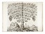  Ammirato Scipione : Delle famiglie nobili fiorentine... Storia locale, Letteratura italiana, Genealogia, Storia, Diritto e Politica, Letteratura, Storia, Diritto e Politica  - Auction Books, autographs and manuscripts - Libreria Antiquaria Gonnelli - Casa d'Aste - Gonnelli Casa d'Aste