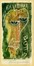  Michel Fingesten  (Buczkowitz, 1883 - Cerisano, 1943) : Lotto composto di 2 ex libris.  - Asta Arte Antica, Moderna e Contemporanea [parte II] - Libreria Antiquaria Gonnelli - Casa d'Aste - Gonnelli Casa d'Aste