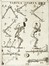  Borelli Giovanni Alfonso : De motu animalium [...] Opus posthumum. Pars prima [-altera]. Scienze naturali, Zoologia, Aeronautica, Scienze naturali, Scienze tecniche e matematiche  - Auction Books, autographs and manuscripts - Libreria Antiquaria Gonnelli - Casa d'Aste - Gonnelli Casa d'Aste