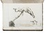  De Bernardi Oronzio : L'uomo galleggiante o sia l'arte ragionata del nuoto [...] Parte I [- II]. Feste - Folklore - Giochi - Sport, Figurato, Collezionismo e Bibliografia  Francesco Lapegna  - Auction Books, autographs and manuscripts - Libreria Antiquaria Gonnelli - Casa d'Aste - Gonnelli Casa d'Aste