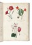  Le Maout Emmanuel : Les trois règnes de la Nature. Botanique. Organographie et taxonomie. Histoire naturelle des familles végétales...  - Asta Libri, autografi e manoscritti - Libreria Antiquaria Gonnelli - Casa d'Aste - Gonnelli Casa d'Aste