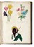  Le Maout Emmanuel : Les trois règnes de la Nature. Botanique. Organographie et taxonomie. Histoire naturelle des familles végétales...  - Asta Libri, autografi e manoscritti - Libreria Antiquaria Gonnelli - Casa d'Aste - Gonnelli Casa d'Aste
