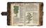  Ryff Walther Hermann : [Kurtzes Handtbuechlein, und Experiment...]. Botanica, Figurato, Legatura, Scienze naturali, Collezionismo e Bibliografia, Collezionismo e Bibliografia  - Auction Books, autographs and manuscripts - Libreria Antiquaria Gonnelli - Casa d'Aste - Gonnelli Casa d'Aste