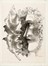  Autori vari : Lotto composto di 9 incisioni.  Marino Marini  (Pistoia, 1901 - Viareggio, 1980), Michele Cascella  (Ortona, 1892 - Milano, 1989), Andr� Derain  (Chatou, 1880 - Garches, 1954), Th�ophile Alexandre Steinlen  (Losanna, 1859 - Parigi, 1923)  - Asta Arte Antica, Moderna e Contemporanea - Libreria Antiquaria Gonnelli - Casa d'Aste - Gonnelli Casa d'Aste
