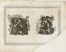  Leopardo Antonozzi  (Osimo, 1589 - Roma, 1659), Camillo Cungi (Congio)  (Roma o  [..]
