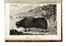  Turner Samuel : Ambassade au Thibet et au Boutan... Geografia e viaggi  - Auction Books, Autographs and Manuscripts - Libreria Antiquaria Gonnelli - Casa d'Aste - Gonnelli Casa d'Aste