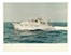  Marina, Geografia e viaggi : Album di fotografie professionali della Raffaello e altri transatlantici.  - Auction Books, Autographs and Manuscripts - Libreria Antiquaria Gonnelli - Casa d'Aste - Gonnelli Casa d'Aste