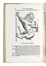  Aldrovandi Ulisse : De quadrupedibus digitatis viviparis libri tres et de quadrupedibus digitatis oviparis libri duo...  - Auction Books, Autographs and Manuscripts - Libreria Antiquaria Gonnelli - Casa d'Aste - Gonnelli Casa d'Aste