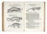  Aldrovandi Ulisse : De quadrupedibus digitatis viviparis libri tres et de quadrupedibus digitatis oviparis libri duo...  - Auction Books, Autographs and Manuscripts - Libreria Antiquaria Gonnelli - Casa d'Aste - Gonnelli Casa d'Aste