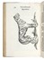  Aldrovandi Ulisse : De quadrupedibus digitatis viviparis libri tres et de quadrupedibus digitatis oviparis libri duo...  - Auction Books, Autographs and Manuscripts - Libreria Antiquaria Gonnelli - Casa d'Aste - Gonnelli Casa d'Aste