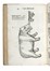  Aldrovandi Ulisse : De quadrupedibus digitatis viviparis libri tres et de quadrupedibus digitatis oviparis libri duo...  - Auction Books, Autographs and Manuscripts - Libreria Antiquaria Gonnelli - Casa d'Aste - Gonnelli Casa d'Aste