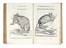  Aldrovandi Ulisse : De quadrupedibus digitatis viviparis libri tres et de quadrupedibus digitatis oviparis libri duo...  - Auction Books, Autographs and Manuscripts - Libreria Antiquaria Gonnelli - Casa d'Aste - Gonnelli Casa d'Aste