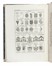  Ginanni Marco Antonio : L'arte del blasone dichiarata per alfabeto...  Pietro Monaco  (Belluno, 1707 - Venezia, 1772), Andrea Barbiani  (1709 - 1779)  - Asta Libri, autografi e manoscritti - Libreria Antiquaria Gonnelli - Casa d'Aste - Gonnelli Casa d'Aste