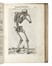  Valverde de Hamusco Juan : La anatomia del corpo umano [...] Nuouamente ristampata et con l'aggiunta di alcune tauole ampliata. Anatomia, Medicina, Figurato  - Auction Books, Autographs and Manuscripts - Libreria Antiquaria Gonnelli - Casa d'Aste - Gonnelli Casa d'Aste
