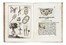  Bianchini Francesco : De tribus generibus instrumentorum musicae veterum organicae dissertatio... Musica, Storia, Musica, Teatro, Spettacolo, Storia, Diritto e Politica  - Auction Books, Autographs and Manuscripts - Libreria Antiquaria Gonnelli - Casa d'Aste - Gonnelli Casa d'Aste