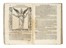  Ripa Cesare : Iconologia... Figurato  - Auction Books, Autographs and Manuscripts - Libreria Antiquaria Gonnelli - Casa d'Aste - Gonnelli Casa d'Aste