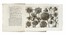  Arena Filippo : La natura, e coltura de' fiori fisicamente esposta in due trattati [...]. Tomo primo (-terzo). Botanica, Figurato, Scienze naturali, Collezionismo e Bibliografia  - Auction Books, Autographs and Manuscripts - Libreria Antiquaria Gonnelli - Casa d'Aste - Gonnelli Casa d'Aste