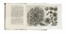  Arena Filippo : La natura, e coltura de' fiori fisicamente esposta in due trattati [...]. Tomo primo (-terzo). Botanica, Figurato, Scienze naturali, Collezionismo e Bibliografia  - Auction Books, Autographs and Manuscripts - Libreria Antiquaria Gonnelli - Casa d'Aste - Gonnelli Casa d'Aste