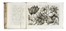  Arena Filippo : La natura, e coltura de' fiori fisicamente esposta in due trattati [...]. Tomo primo (-terzo). Botanica, Figurato, Scienze naturali, Collezionismo e Bibliografia  - Auction Books, Autographs and Manuscripts - Libreria Antiquaria Gonnelli - Casa d'Aste - Gonnelli Casa d'Aste