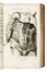  Bartholin Thomas : Anatome quartum renovata... Anatomia, Medicina, Figurato  - Auction Libri, Autografi e Manoscritti - Libreria Antiquaria Gonnelli - Casa d'Aste - Gonnelli Casa d'Aste