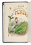  Grandville J.J. [pseud. di G�rard Jean Ignace Isidore] : Les Fleurs Anim�es... Tomo I [-II].  - Asta Libri, autografi e manoscritti - Libreria Antiquaria Gonnelli - Casa d'Aste - Gonnelli Casa d'Aste