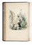  Grandville J.J. [pseud. di G�rard Jean Ignace Isidore] : Les Fleurs Anim�es... Tomo I [-II].  - Asta Libri, autografi e manoscritti - Libreria Antiquaria Gonnelli - Casa d'Aste - Gonnelli Casa d'Aste