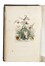  Grandville J.J. [pseud. di G�rard Jean Ignace Isidore] : Les Fleurs Anim�es... Tomo I [-II].  - Asta Libri, autografi e manoscritti - Libreria Antiquaria Gonnelli - Casa d'Aste - Gonnelli Casa d'Aste